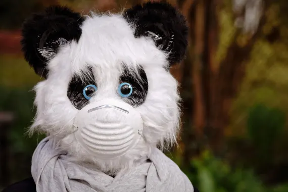 كازينو كاباريه كلوب الدعم